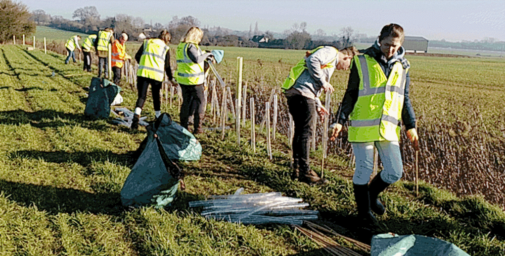 Volunteer-planting-days