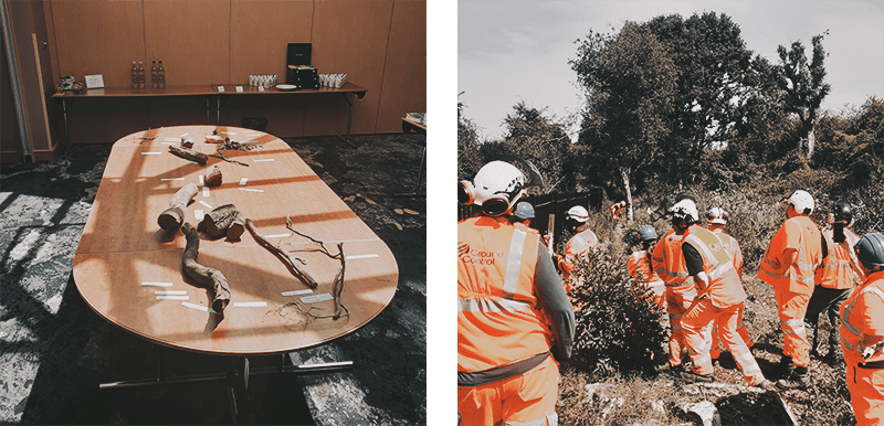 Ground Control Arboricultural Awareness training 2022