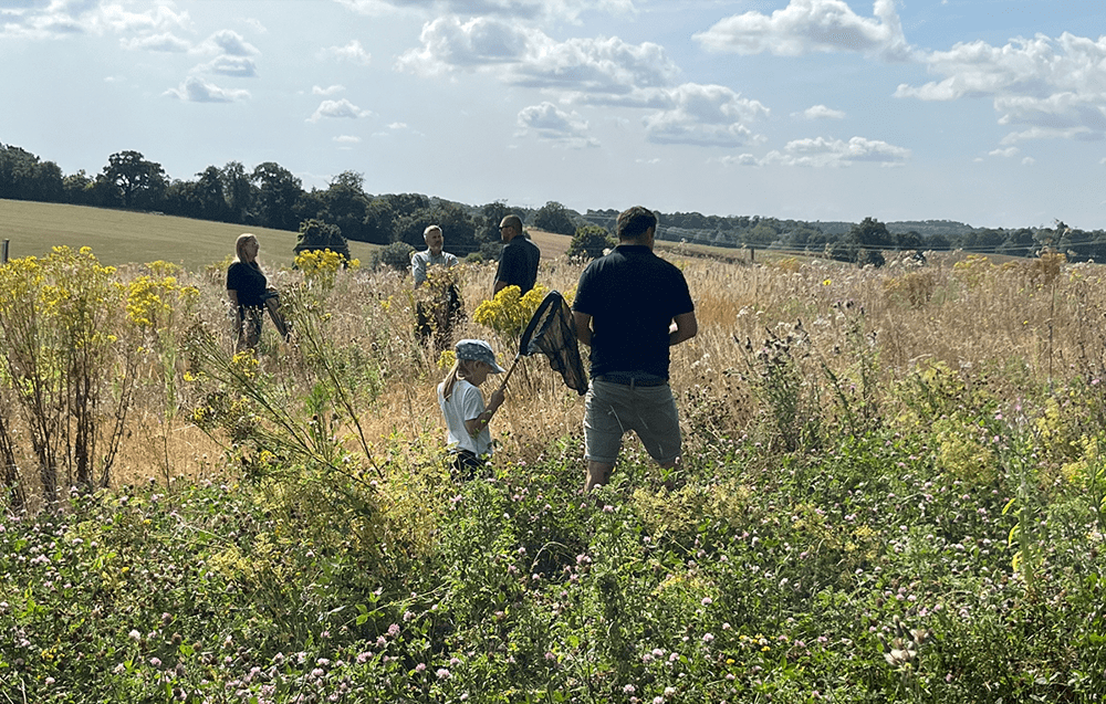 Volunteers at on a bee safari at the Wildfell Centre for Environmental Recovery