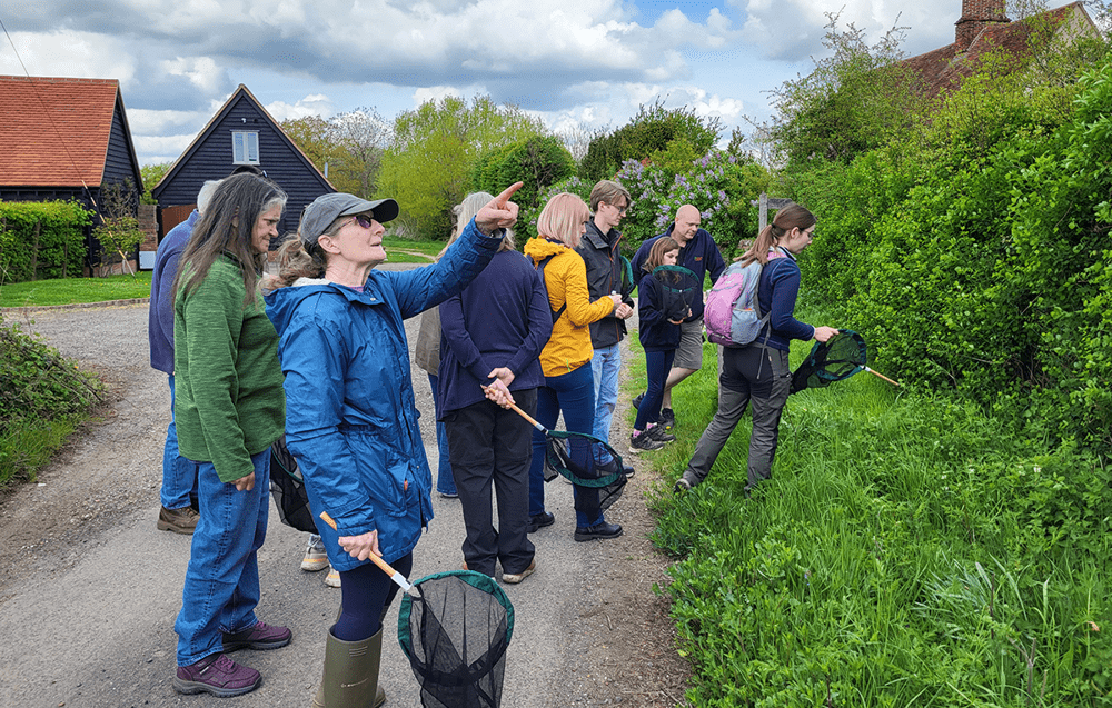 Bumblebee ambassadors at Wildfell on a bee safari 2025