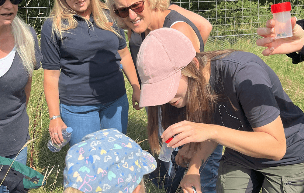 Volunteers on a bee walk at Wildfell, learning to become bumblebee ambassadors and citizen scientists