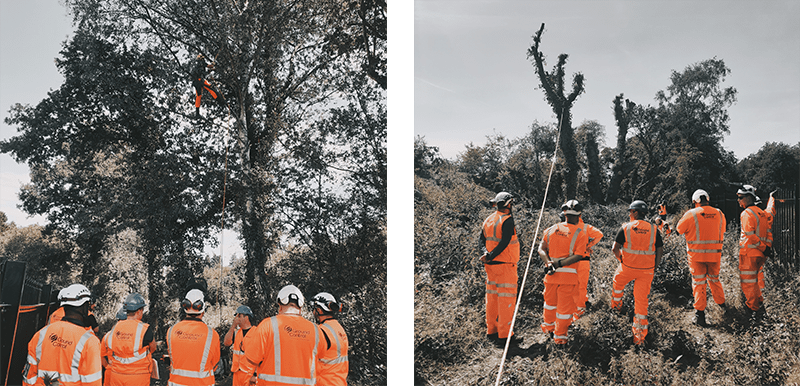 Ground Control Arboricultural Awareness Training